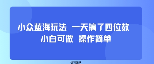 小众蓝海玩法 一天搞了四位数 小白可做 操作简单-来友网创