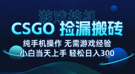 8月最新游戏搬砖，CSGO纯挂G，不需要玩游戏，实现真挂G，月入1W+【揭秘】-来友网创