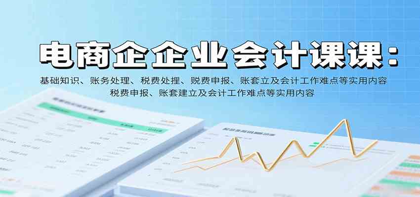 电商企业会计课：基础知识、账务处理、税费申报、账套建立及会计工作难点等实用内容-来友网创
