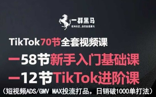 TikTok全套视频课，新手入门+进阶课，短视频ADS-GMV MAX投流打品，日销破1000单打法-来友网创