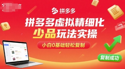 拼多多虚拟精细化少品玩法实操，小白0基础轻松复制-来友网创