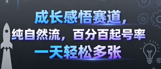 成长感悟赛道，纯自然流，百分百起号率 一天轻松多张-来友网创