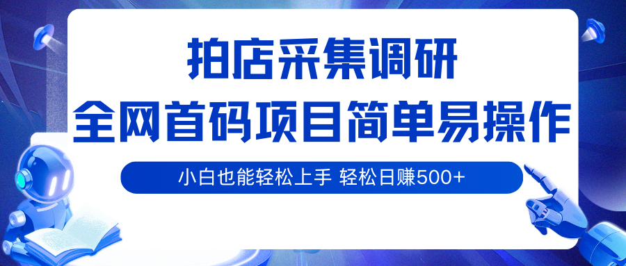 拍店采集调研，全网首码项目，简单易操作， 小白也能轻松上手，轻松日赚500+-来友网创