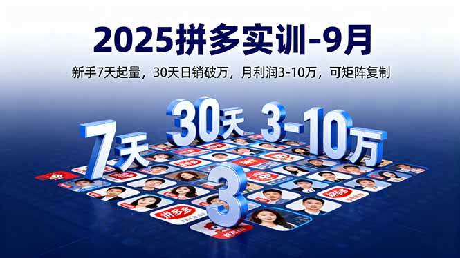 （16008期）2025拼多多实训-9月：新手7天起量,30天日销破万,月利润3-10万,可矩阵复制-来友网创