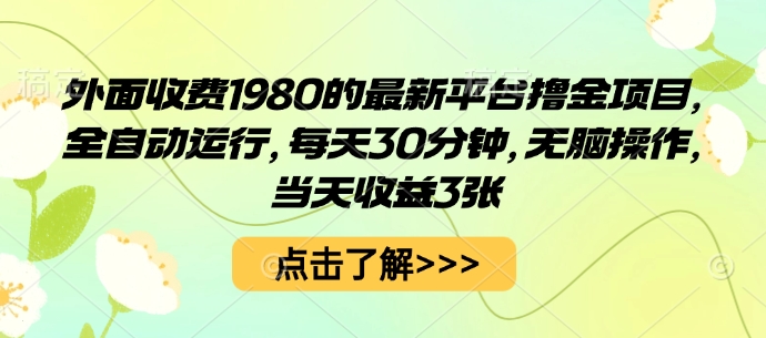 外面收费1980的最新平台撸金项目，全自动运行，每天30分钟，无脑操作，当天收益3张【揭秘】-来友网创