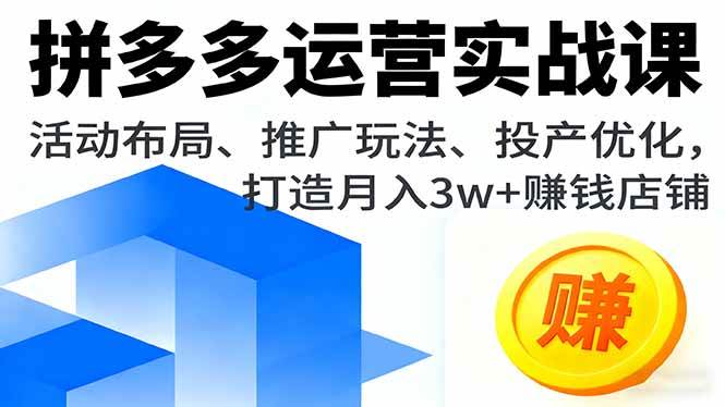 （16135期）拼多多运营实战课，活动布局、推广玩法、投产优化，打造月入3w+赚钱店铺-来友网创