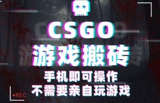CSGO游戏挂G捡漏，单日扫货5张+，年底小高峰上车可吃肉，手机即可操作，兼职副业创业网创【揭秘】-来友网创
