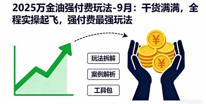 （16202期）2025万金油强付费玩法-9月：干货满满，全程实操起飞，强付费最强玩法-来友网创