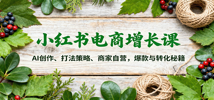 小红书电商增长课：AI创作、打法策略、商家自营，爆款与转化秘籍-来友网创