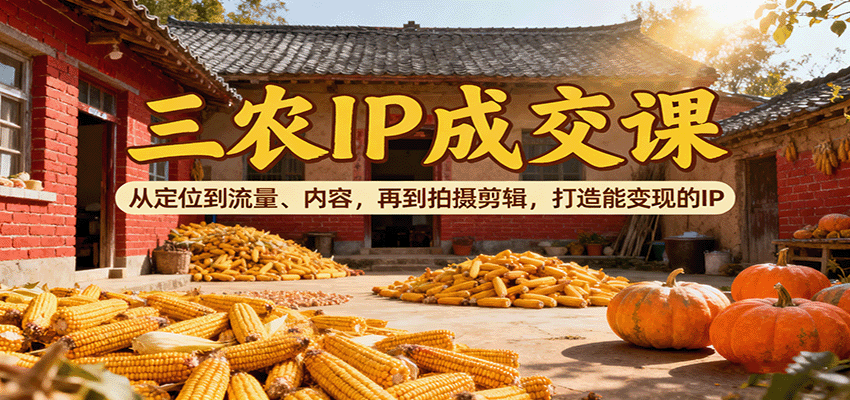 三农IP成交课：从定位到流量、内容，再到拍摄剪辑，打造能变现的IP-来友网创