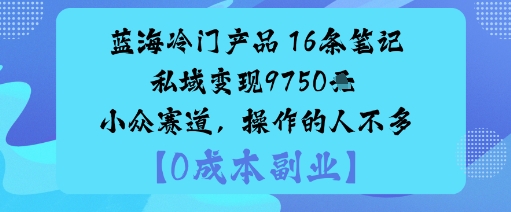 蓝海冷门产品：16条笔记私域变现9750米小众赛道，操作的人不多-来友网创