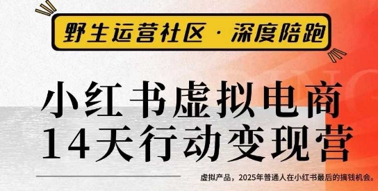 小红书虚拟电商14天变现训练营3.0，​虚拟产品，2025年普通人在小红书最后的搞钱机会-来友网创