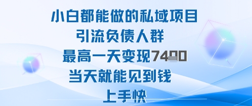 2025年小白都能做的私域项目引流负债人群最高一天变现1k+高变现难度低当天就能见到钱上手快-来友网创