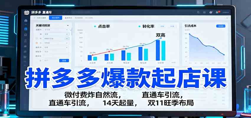 拼多多爆款起店课：微付费炸自然流，直通车引流，14天起量，双11旺季布局-来友网创