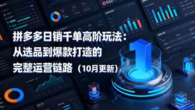 （16404期）拼多多日销千单高阶玩法：从选品到爆款打造的完整运营链路（10月更新）-来友网创