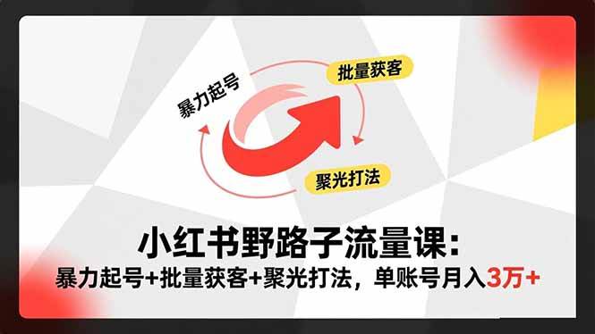 （16513期）小红书野路子流量课：暴力起号+批量获客+聚光打法，单账号月入3万+-来友网创