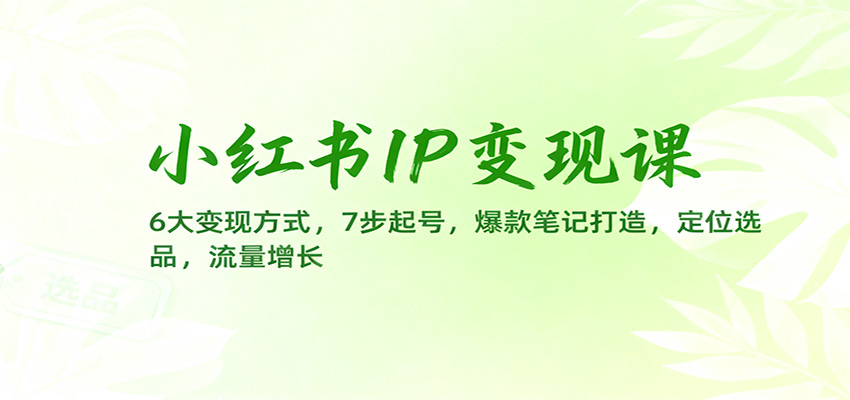 小红书IP变现课：6大变现方式，7步起号，爆款笔记打造，定位选品，流量增长-来友网创