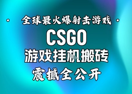 【年底大揭秘】基于全球最火爆的射击CSGO游戏挂G搬砖，日入5张+，震撼公开-来友网创