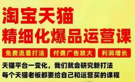淘宝天猫精细化爆品运营课，免费流量打法-付费广告放大-利润增长-三大核心痛点，一次全部解决-来友网创