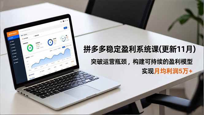 （16641期）拼多多稳定盈利系统课(更新11月)，突破运营瓶颈，构建可持续的盈利模型，实现月均利润5万+-来友网创