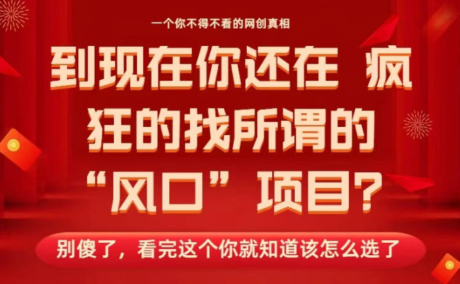 马上26年了，你还在找所谓的风口项目？别傻了，看完这个你全都懂了！【揭秘】-来友网创