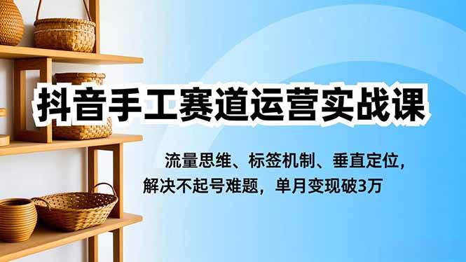 （16667期）抖音手工赛道运营实战课，流量思维、标签机制、垂直定位，解决不起号难题，单月变现破3万-来友网创