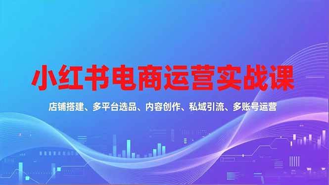 （16695期）小红书电商运营实战课，店铺搭建、多平台选品、内容创作、私域引流、多账号运营等玩法-来友网创