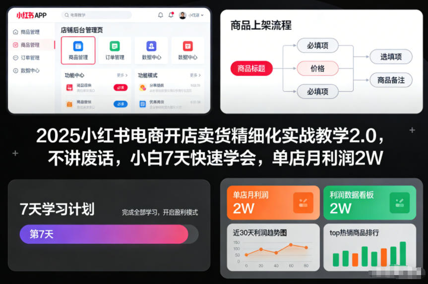 2025小红书电商开店卖货精细化实战教学2.0，不讲废话，小白7天快速学会，单店月利润2W-来友网创