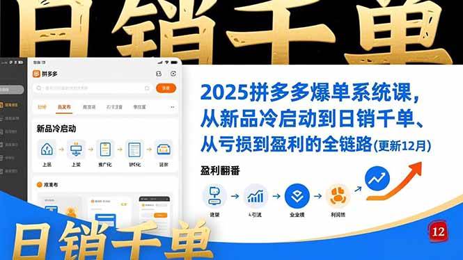 （16894期）2025拼多多爆单系统课，从新品冷启动到日销千单、从亏损到盈利的全链路（更新12月）-来友网创