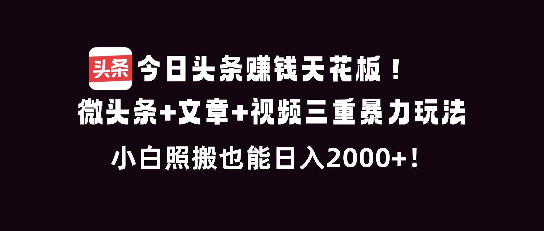 （16888期）今日头条赚钱天花板！微头条+文章+视频三重暴利玩法，小白照搬也能日人2000+-来友网创