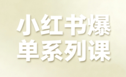 小红书爆单系列课，聚焦小红书电商全链路增长（更新）-来友网创