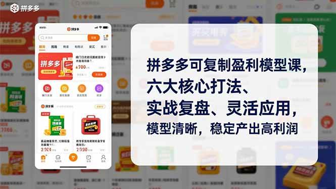 （16952期）拼多多可复制盈利模型课，六大核心打法、实战复盘、灵活应用，模型清晰，稳定产出高利润-来友网创