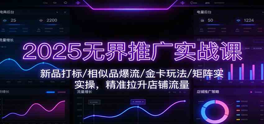 2025无界推广实战课：新品打标/相似品爆流/金卡玩法/矩阵实操，精准拉升店铺流量-来友网创