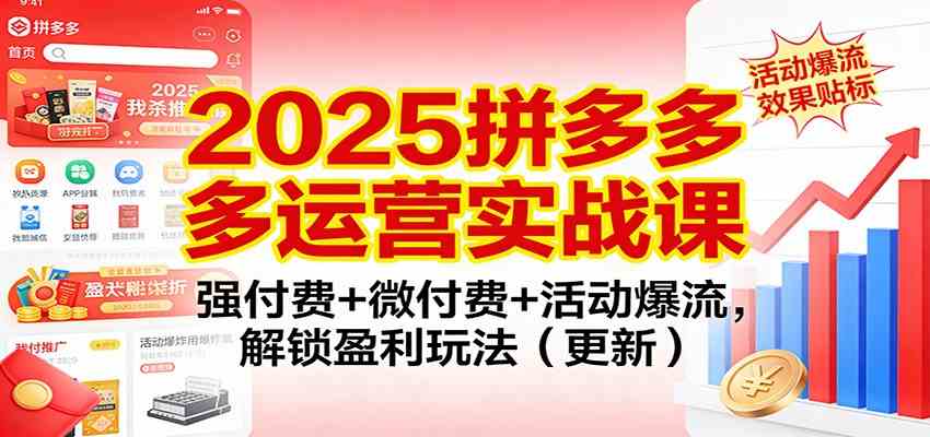 2025拼多多运营实战课：强付费+微付费+活动爆流，解锁盈利玩法（更新）-来友网创