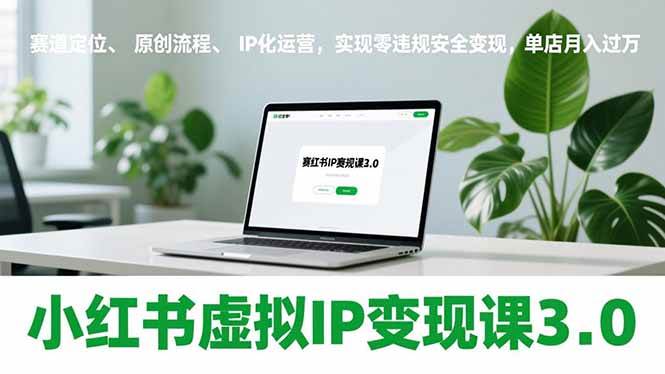 （17029期）小红书虚拟IP变现课3.0，赛道定位、原创流程、IP化运营，实现零违规安全变现，单店月入过万-来友网创
