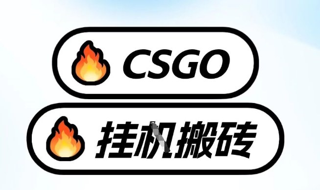 真全网独家CSGO挂G，最新玩法,单日捡漏1K+，不用电脑，不用打游戏【揭秘】-来友网创