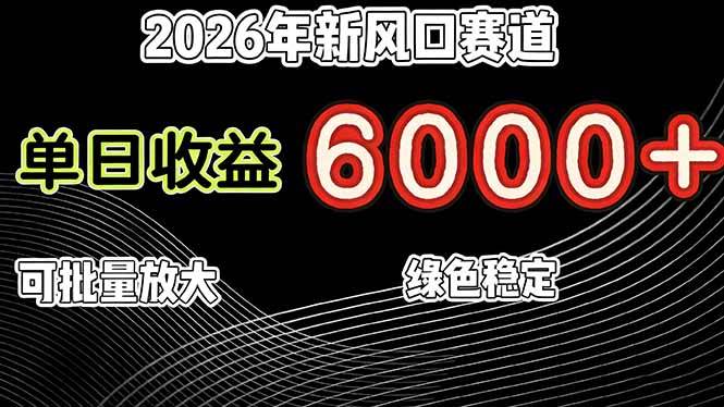 （17135期）2026年新风口赛道，当日6000+以上，可批量放大，月收入20万+，长期绿色稳定的项目-来友网创