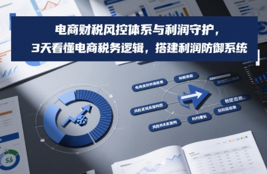 电商财税风控体系与利润守护，3天看懂电商税务逻辑，搭建利润防御系统-来友网创