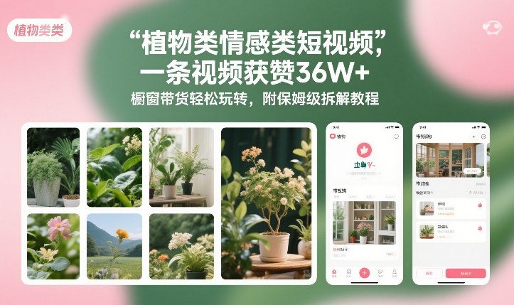 植物类情感类短视频，一条视频获赞36W+，橱窗带货轻松玩转，附保姆级拆解教程-来友网创