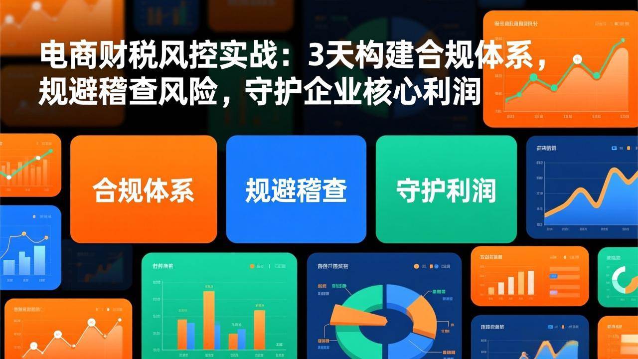（17197期）电商财税风控实战：3天构建合规体系，规避稽查风险，守护企业核心利润-来友网创
