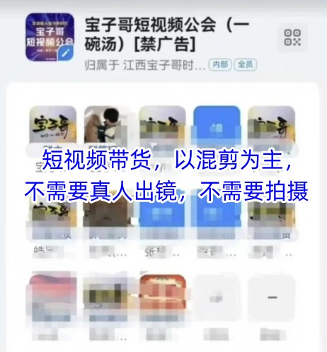 宝子哥头部团队短视频带货，以混剪为主，不需要真人出镜，不需要拍摄【更新26年1月】-来友网创