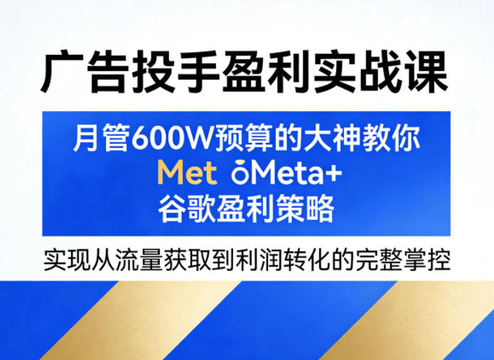 广告投手盈利实战课，月管600W预算的大神教你Meta+谷歌盈利策略，实现从流量获取到利润转化的完整掌控-来友网创