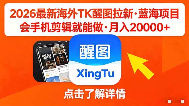 （18112期）26年最新海外Tk醒图拉新，蓝海项目，会手机剪辑就可以做，月入20000＋-来友网创