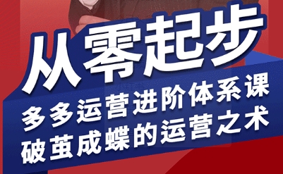拼多多运营进阶系统课，从零起步，多多运营进阶体系课，破茧成蝶的运营之术（更新26年4月）-来友网创