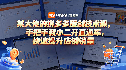 某大佬的拼多多原创技术课，手把手教小二开直通车，快速提升店铺销量-来友网创