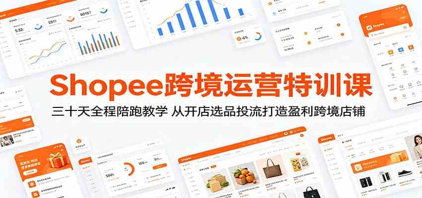 Shopee跨境运营特训课：三十天全程陪跑教学，从开店选品投流打造盈利跨境店铺-来友网创