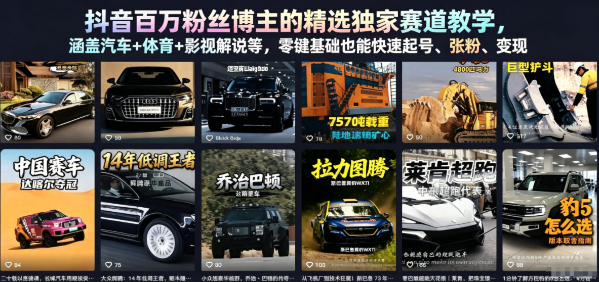 抖音百万粉丝博主的精选独家赛道教学，涵盖汽车+体育+影视解说等，零基础也能快速起号、涨粉、变现-来友网创