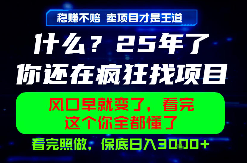 26年，请不要疯狂的找项目做了！卖项目才是真的稳賺不赔，看完照做，保底日入1k+【揭秘】-来友网创