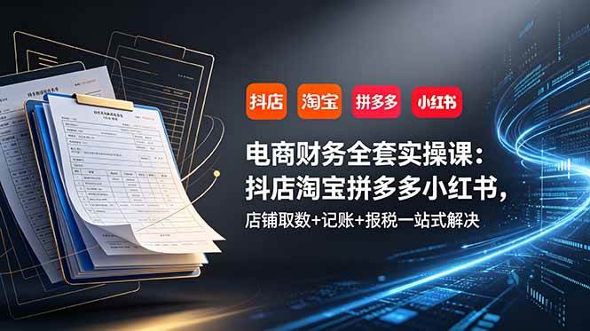 （19001期）电商财务全套实操课：抖店淘宝拼多多小红书，店铺取数+记账+报税一站式解决-来友网创