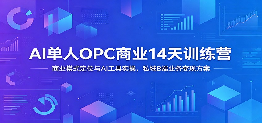 AI单人OPC商业14天训练营：商业模式定位与AI工具实操，私域B端业务变现方案-来友网创